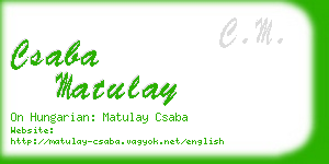 csaba matulay business card